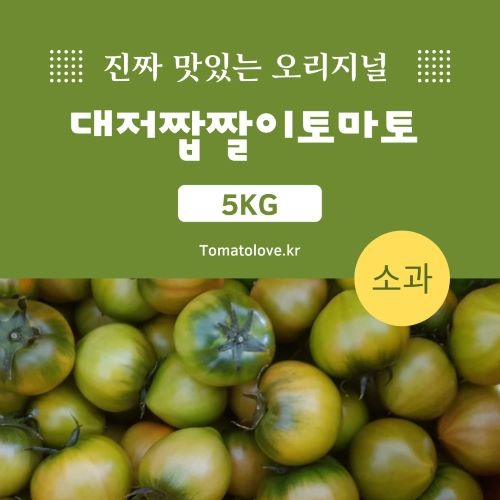 무농약인증 오리지널 명품 짭짤이토마토 소과(3s)  5kg *방울토마토크기*