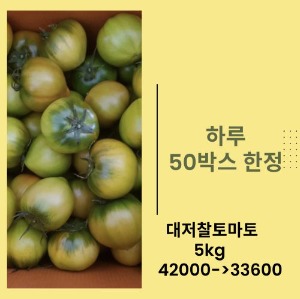 [하루50박스]무농약인증 싱싱한 대저찰토마토 5kg